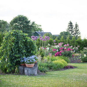 Hooajalised Lilleväljad