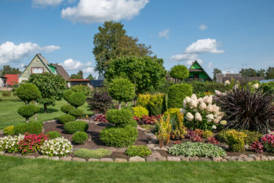 Topiaarpuude lõikamise koolitus Türil 04.09.2025 kell 18.00